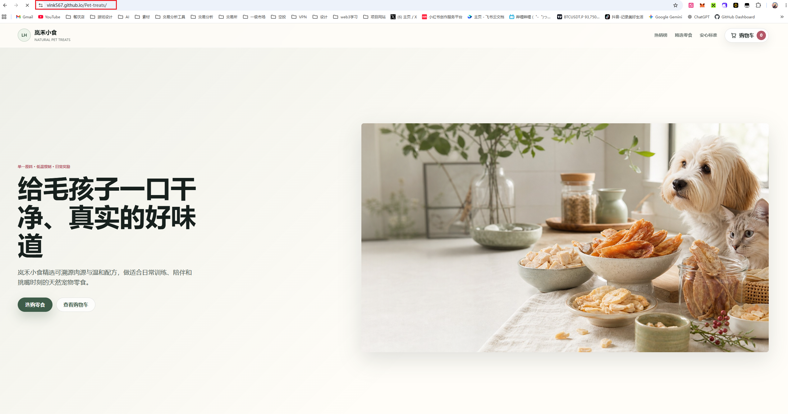 在浏览器中打开的“Pet treats”网页